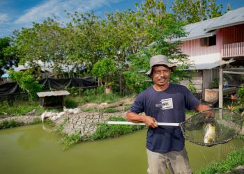 Cerita Nia dan Bambang, Petani Binaan Harita Nickel yang Sukses Jadi Pemasok Bahan Pangan
