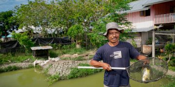Cerita Nia dan Bambang, Petani Binaan Harita Nickel yang Sukses Jadi Pemasok Bahan Pangan
