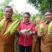 Walikota dan Wakil Walikota Tidore Hadiri Panen 7000 Pohon Jagung di Kelurahan Dowora