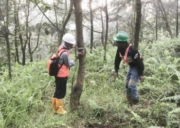 Menjaga Lingkungan, Harita Nickel Lestarikan Flora dan Fauna Endemik 