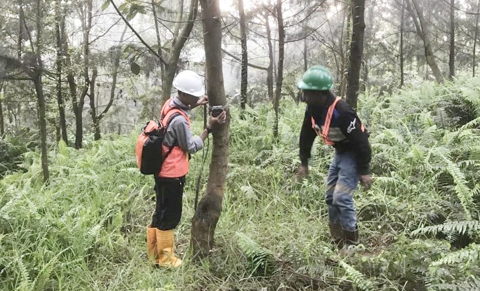 Menjaga Lingkungan, Harita Nickel Lestarikan Flora dan Fauna Endemik 
