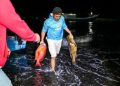 Obi Fishing Tournament 2025 Bukti Perairan dan Ikan di Obi Kawasi Masih Terjaga dan Melimpah