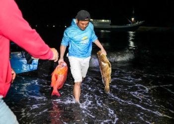 Obi Fishing Tournament 2025 Bukti Perairan dan Ikan di Obi Kawasi Masih Terjaga dan Melimpah 