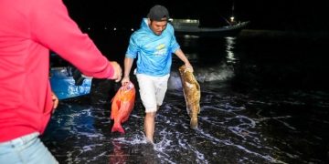 Obi Fishing Tournament 2025 Bukti Perairan dan Ikan di Obi Kawasi Masih Terjaga dan Melimpah 