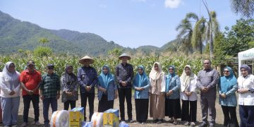 Panen Jagung, Wujud Nyata Sinergitas dan Kolaborasi untuk Memenuhi Ketahanan Pangan di Kota Tidore Kepulauan