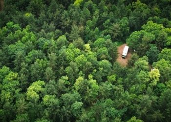 Bukan Sekadar Kewajiban Hukum, Harita Nickel Transformasikan Reklamasi Jadi Komitmen Pemulihan Ekosistem