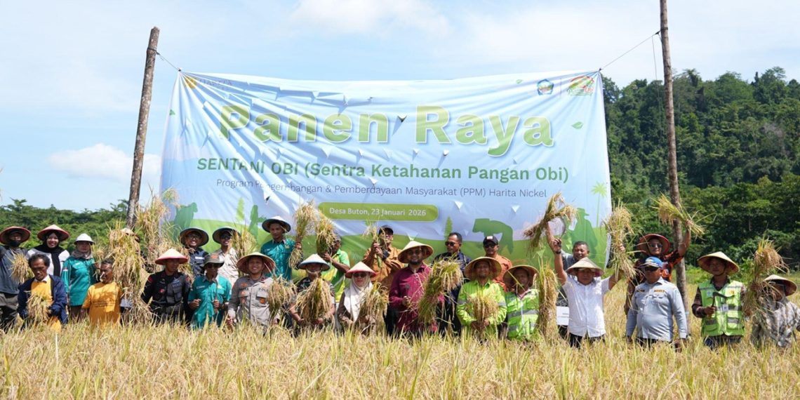Harita Nickel dan Pemkab Halmahera Selatan Gelar Panen Raya Padi, Produktivitas Petani Obi di atas Rata-rata Nasional