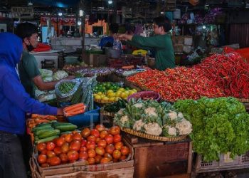 Pastikan Stok Aman Hingga Lebaran, Pemkot Tidore Siapkan 70 Kontainer Tol Laut