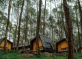 Perkuat Pariwisata, Bobocabin Bakal Hadir di Kota Tidore
