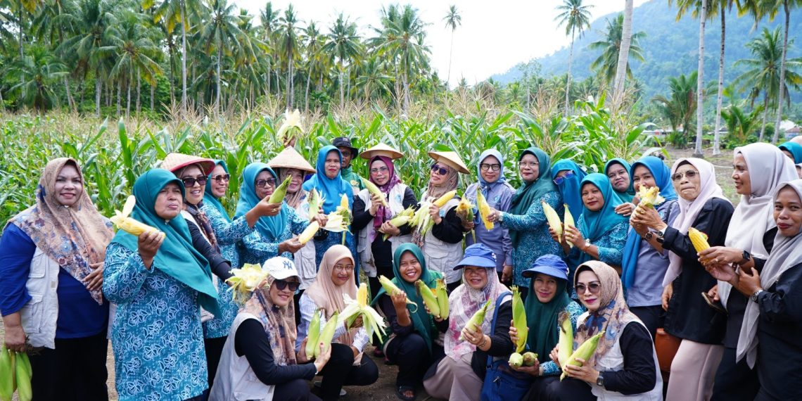 Perkuat Ketahanan Pangan, TP PKK Tidore Jadikan Kelurahan Payahe Role Model Pertanian