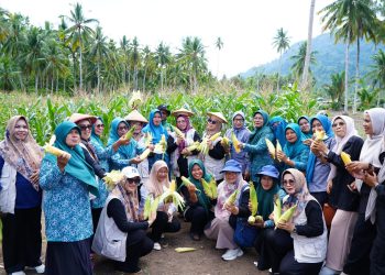Perkuat Ketahanan Pangan, TP PKK Tidore Jadikan Kelurahan Payahe Role Model Pertanian