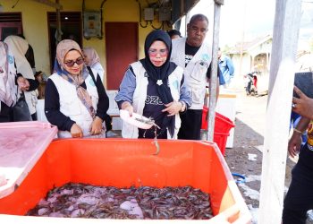 Atasi Kendala Pasar, TP PKK Tidore Siap Pasarkan Hasil Panen Udang Vaname Dowora